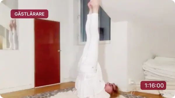 Annika leder en yoga class med mjuka sträckningar, omgiven av gröna växter i en lugn och harmonisk atmosfär.