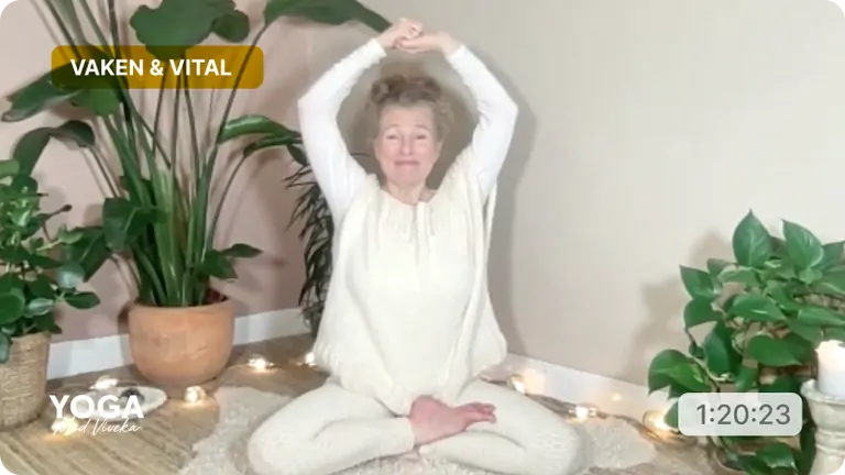 Yogaklass med Viveka - Ryggrad, flöde & stabilitet. Tema: vaken och vital