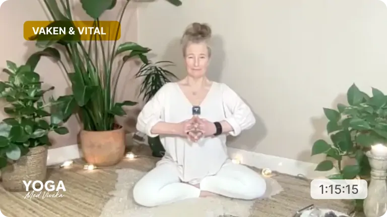 Yogaklass med Viveka - Öka och härbärgera din vitalitet. Tema: vaken och vital
