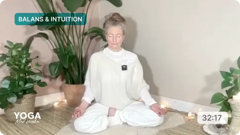 Meditation med Viveka - Kirtan Kriya dag 40